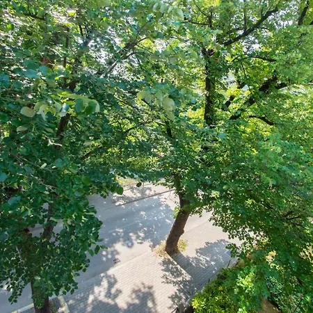 Enjoy Free Private Parking Apartment *